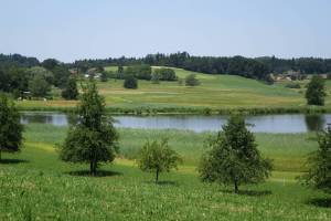 Wanderung Hombrechtikon - Grüningen