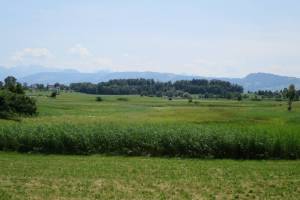 Wanderung Hombrechtikon - Grüningen