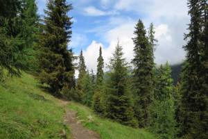 Wanderung Davos - Sertig