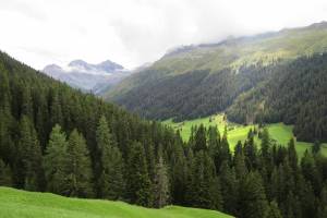 Wanderung Davos - Sertig