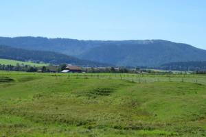 Wanderung Les Ponts-de-Martel - Noiraigue - Boudry