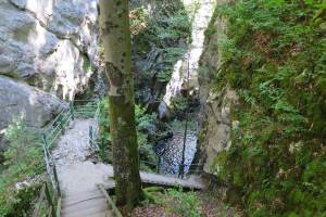 Wanderung Les Ponts-de-Martel - Noiraigue - Boudry (Areuse-Schlucht)