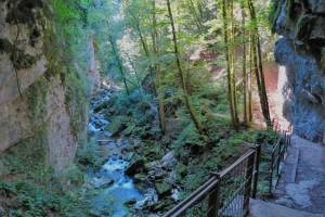 Wanderung Les Ponts-de-Martel - Noiraigue - Boudry (Areuse-Schlucht)