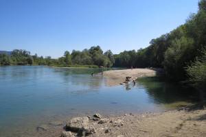Aare zwischen Murgenthal und Aarburg