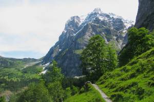 Wetterhorn
