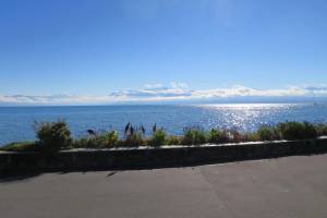 Morges