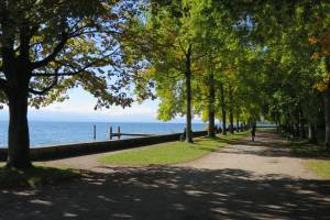 Morges