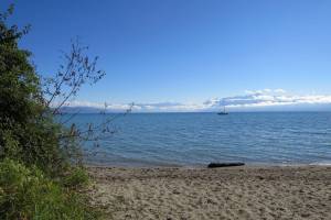 Wanderung Morges - St-Prex - Allaman