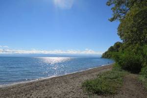 Wanderung Morges - St-Prex - Allaman