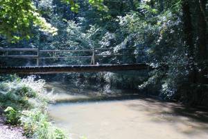 Le Boiron