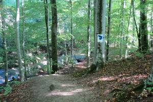 Le Boiron