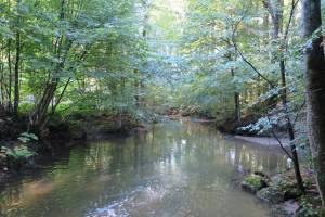 Le Boiron