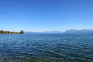 Wanderung Morges - St-Prex - Allaman
