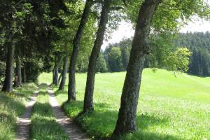 Wanderung Aeschau - Hochwacht - Langnau