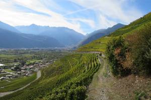 Wanderung Branson - Fully - Saillon