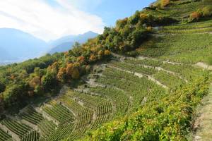 La Combe d'Enfer