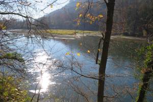 Aare zwischen Brugg und Siggenthal