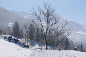 Winterwanderung Hasliberg - Brünig