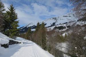 Winterwanderung Les Diablerets - Le Rosex
