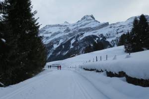 Winterwanderung Les Diablerets - Le Rosex