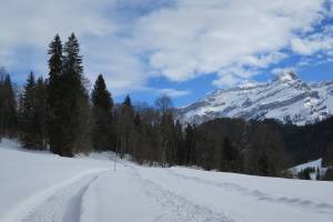 Winterwanderung Les Diablerets - Le Rosex