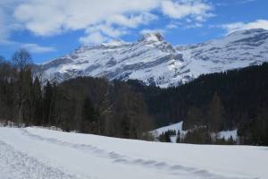 Winterwanderung Les Diablerets - Le Rosex