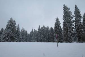 Schneeschuhtour Pré-Petitjean - Etang des Royes - Muriaux