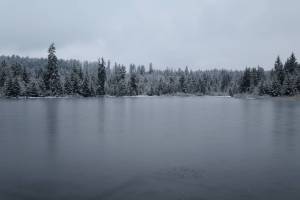 Etang des Royes