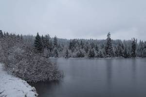 Etang des Royes