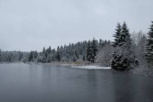 Etang des Royes