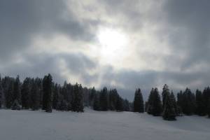 Schneeschuhtour Pré-Petitjean - Etang des Royes - Muriaux