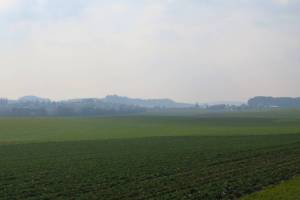 Wanderung Courtepin - Clavaleyres - Murten