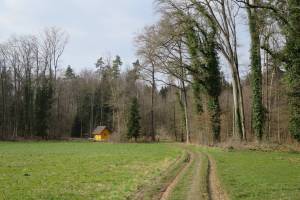 Wanderung Courtepin - Clavaleyres - Murten