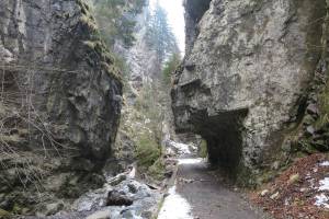 Winterwanderung Giswil - Melchaaschlucht