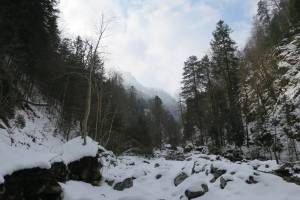 Winterwanderung Giswil - Melchaaschlucht