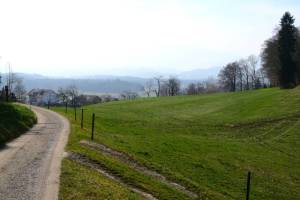 Wanderung Kiesen - Oberdiessbach - Steffisburg