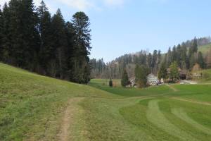 Schnittweierbad