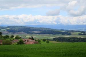 Wanderung Payerne - Henniez