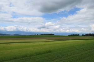 Wanderung Payerne - Henniez