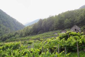 Wanderung Maggia - Lodano - Coglio - Maggia