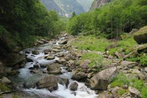 Fiume Calnègia