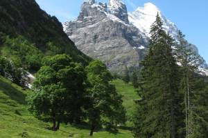Eiger
