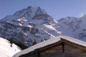 Winterwanderung Mürren - Allmendhubel