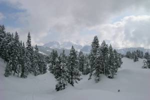 Winterwanderung Niederhorn - Waldegg