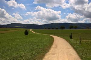 Wanderung Rebenweg Aesch