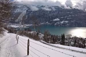 Brienz, Wellenberg