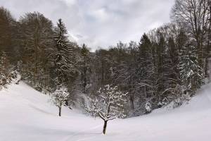Brienz, beim Burgstollen