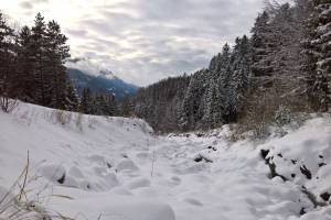 Brienz, Glyssibach