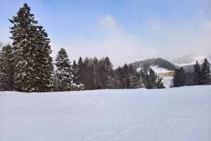 Schneeschuhtour Ste-Croix/L'Auberson