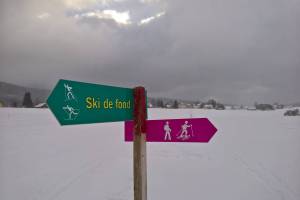 Schneeschuhtour Ste-Croix/L'Auberson